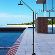 DUCHA PISCINA EXTERIOR EN ACERO INOX. S.316 SERIE DAKOTA