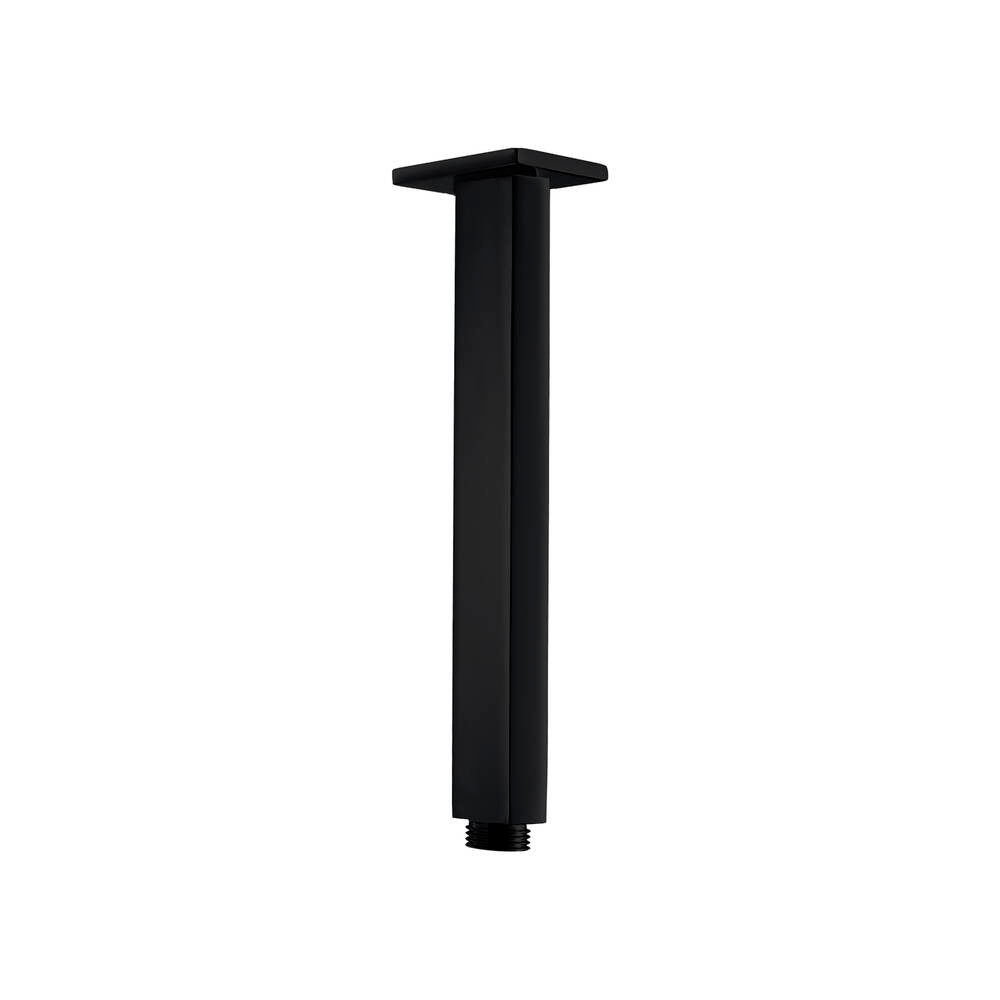 3160